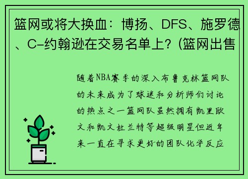 篮网或将大换血:博扬、DFS、施罗德、C-约翰逊在交易名单上?(篮网出售) 篮网或将大换血:博扬、DFS、施罗德、C-约翰逊在交易名单上?(篮网出售)